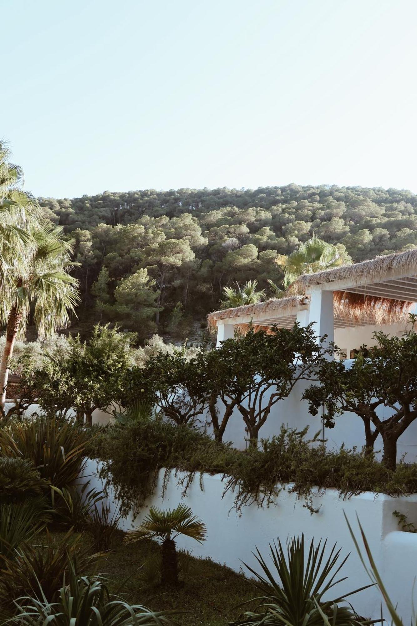 Pure House Ibiza Hotel Sant Jordi de ses Salines ภายนอก รูปภาพ